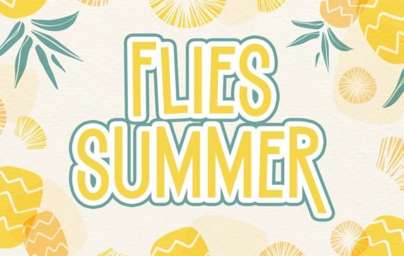 Flies Summer: A Whimsical Display Font for Creative Projects